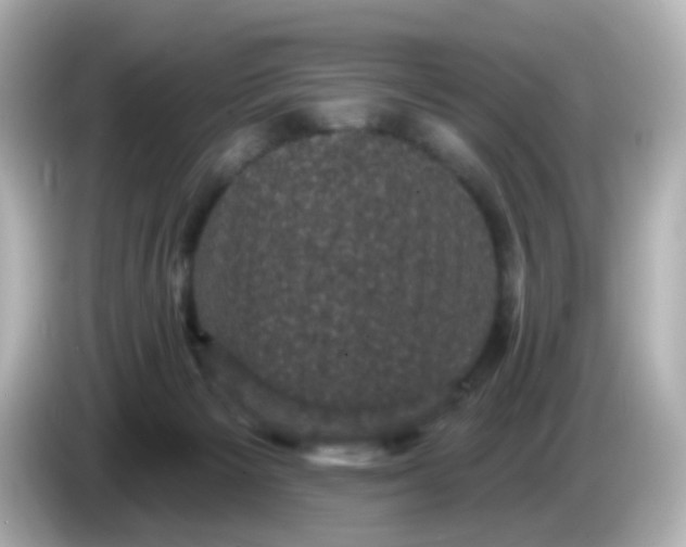 X0000086050125200704091216