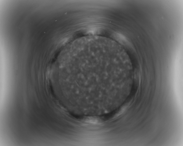 X0000086050127200704091216
