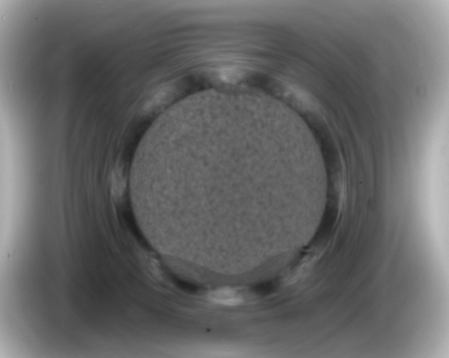 X0000086050129200704091216