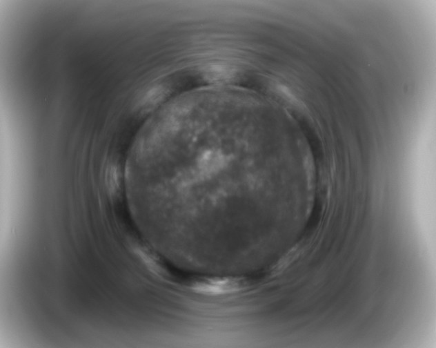 X0000086050130200704091216