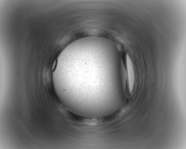 X0000086050131200704091216