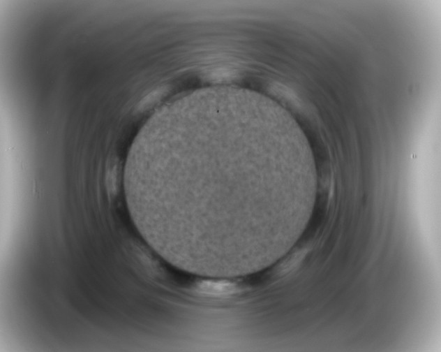 X0000086050133200704091216