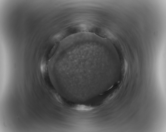 X0000086050137200704091216