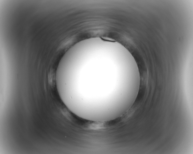 X0000086050138200704091216