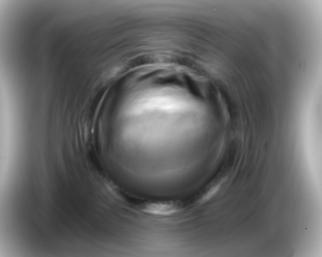 X0000086050139200704091216