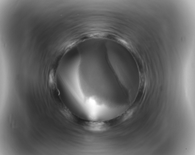 X0000086050143200704091216