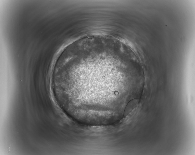 X0000086050145200704091216