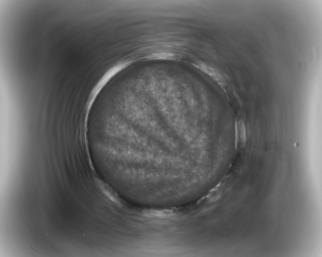 X0000086050147200704091216