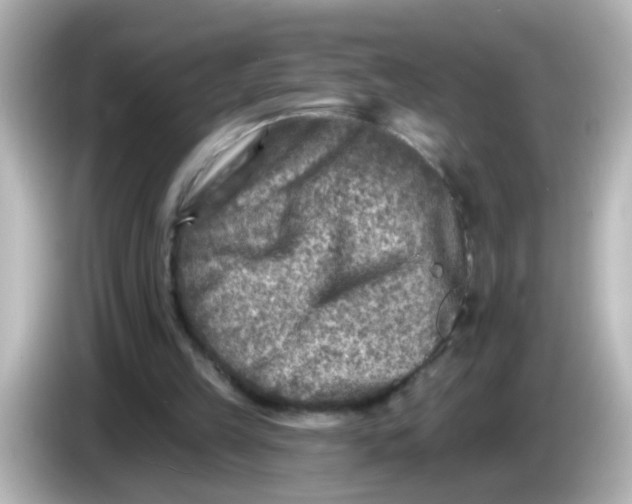 X0000086050149200704091216
