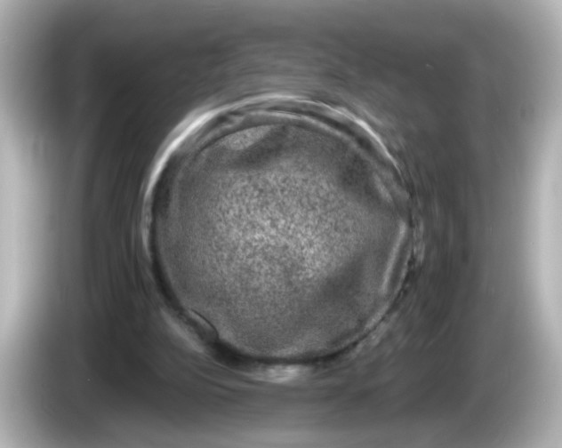 X0000086050152200704091216