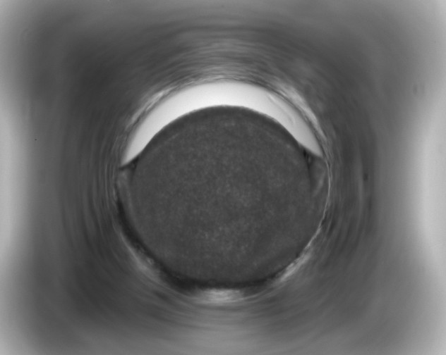 X0000086050154200704091216