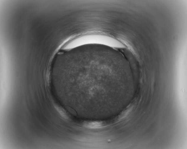 X0000086050156200704091216