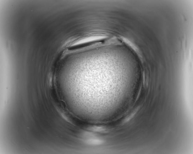 X0000086050157200704091216