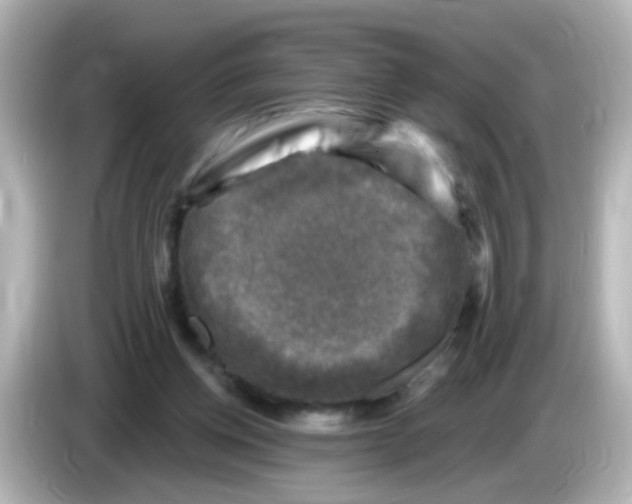 X0000086050158200704091216
