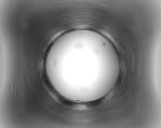 X0000086050159200704091216
