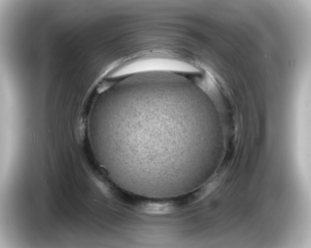 X0000086050160200704091216