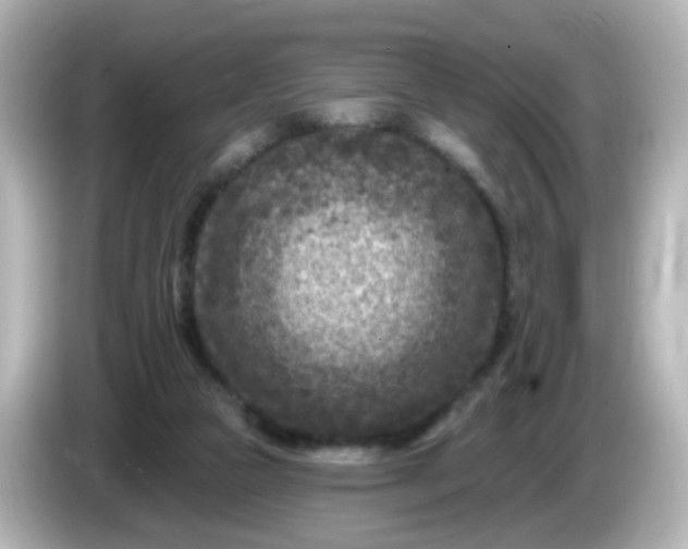 X0000086050161200704091216