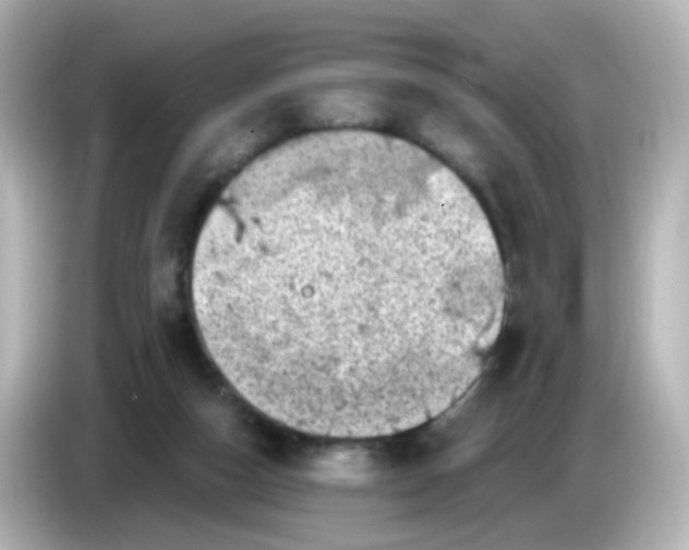 X0000086050162200704091216