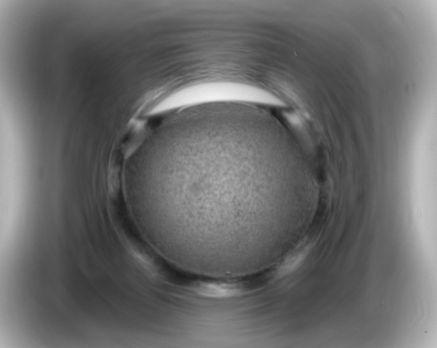 X0000086050164200704091216
