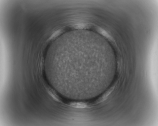 X0000086050165200704091216