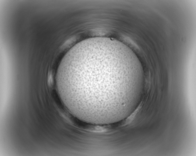 X0000086050166200704091216