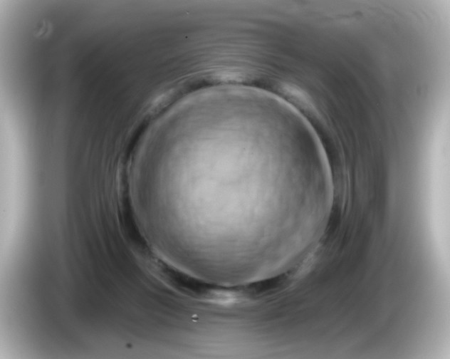X0000086050167200704091216
