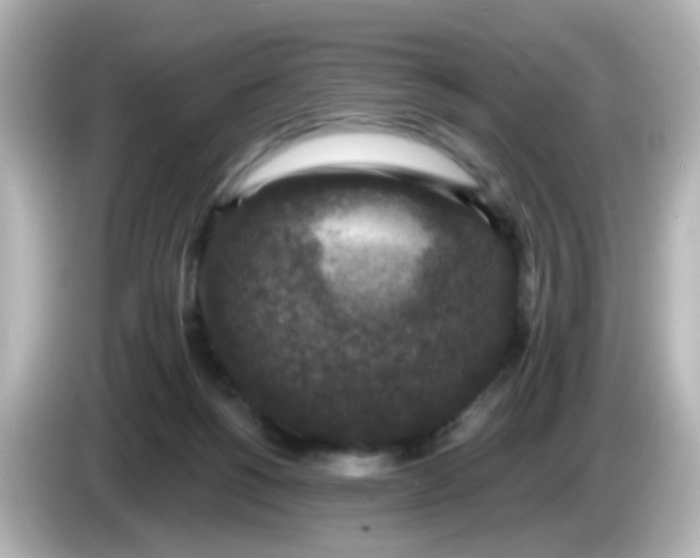 X0000086050168200704091216