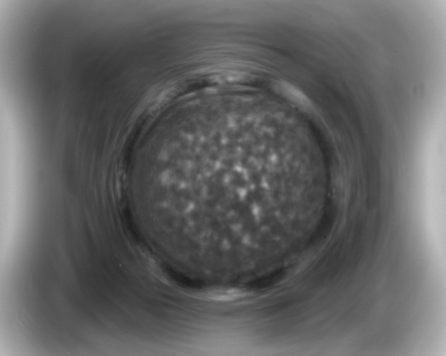 X0000086050169200704091216