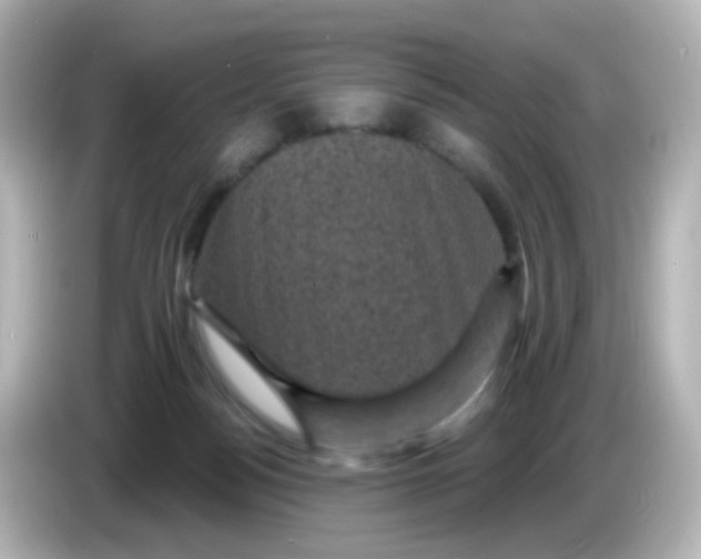 X0000086050172200704091216