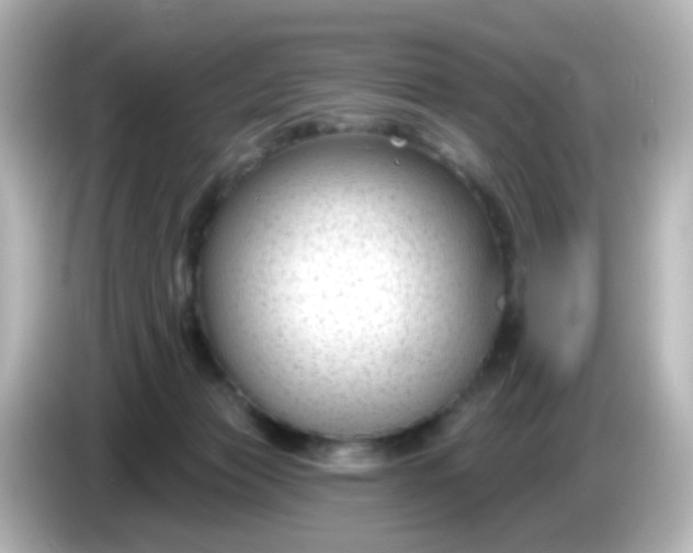 X0000086050173200704091216