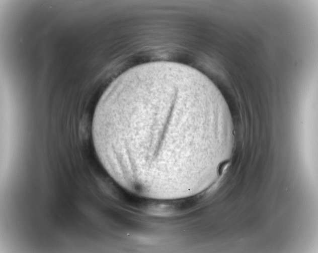 X0000086050174200704091216