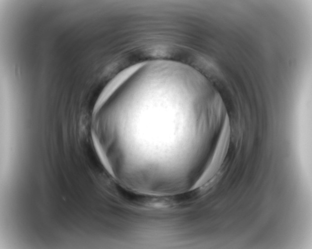 X0000086050175200704091216