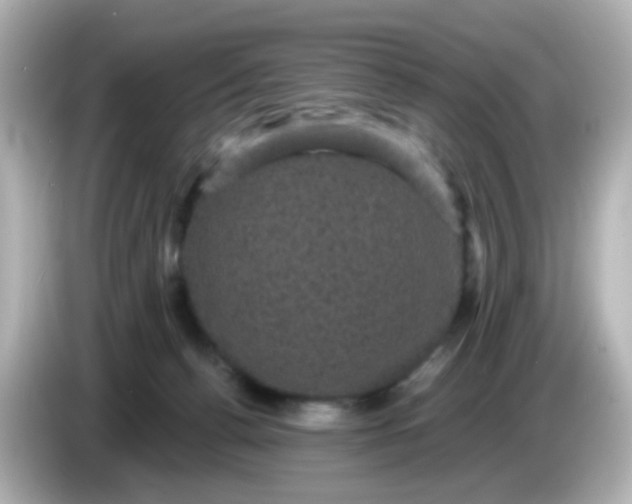 X0000086050176200704091216