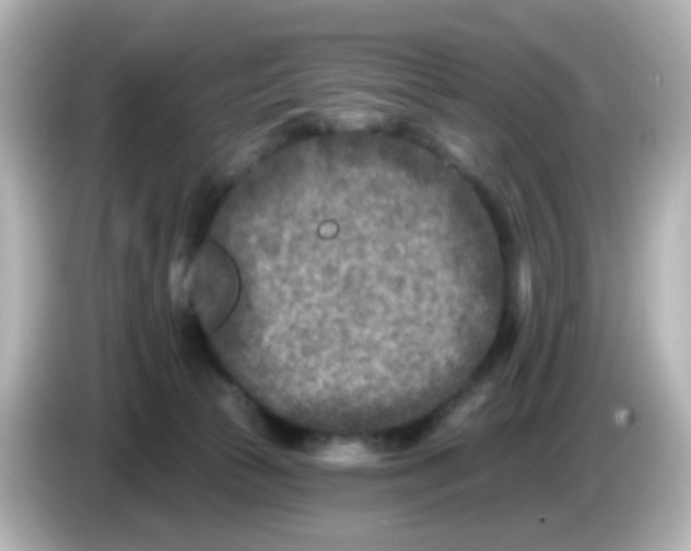 X0000086050177200704091216
