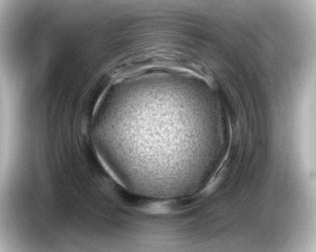X0000086050178200704091216