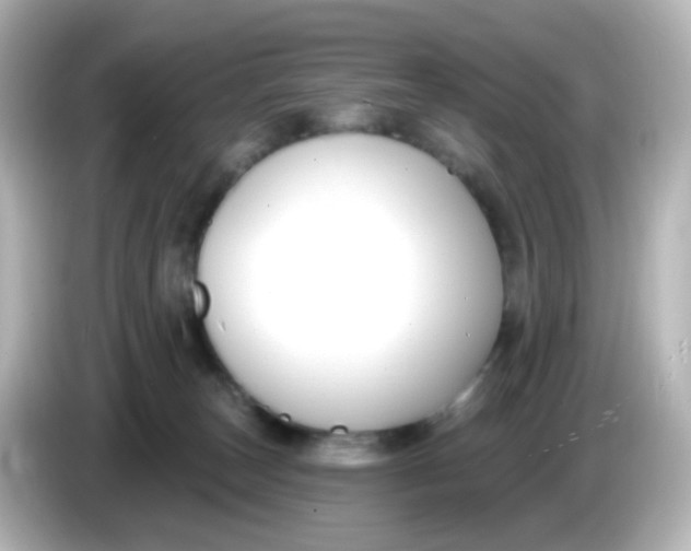X0000086050179200704091216