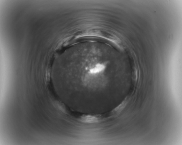 X0000086050180200704091216