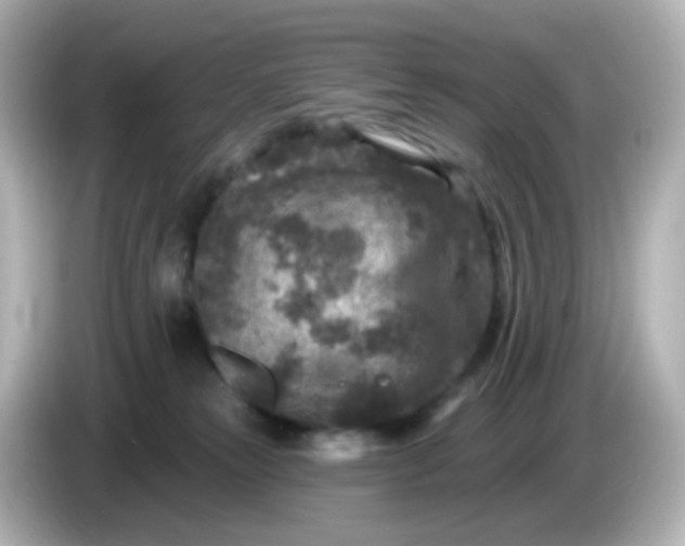X0000086050181200704091216