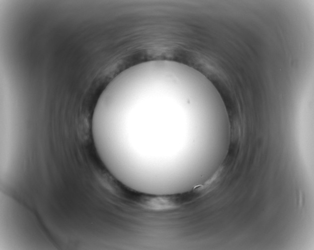 X0000086050183200704091216