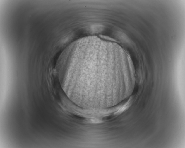 X0000086050184200704091216
