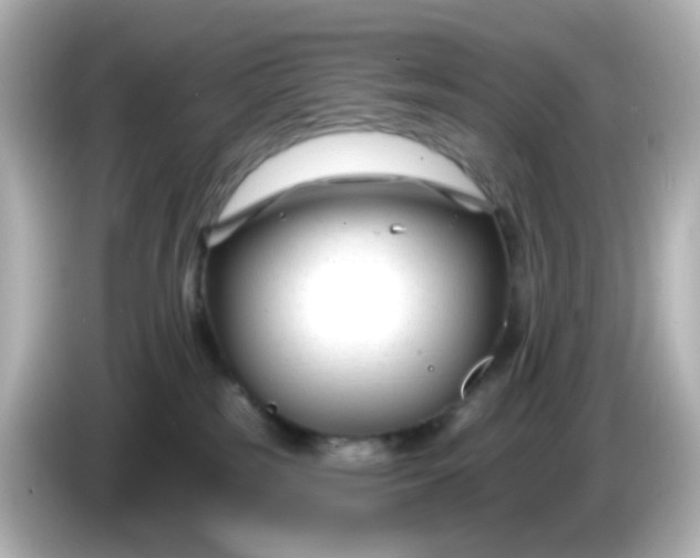 X0000086050185200704091216