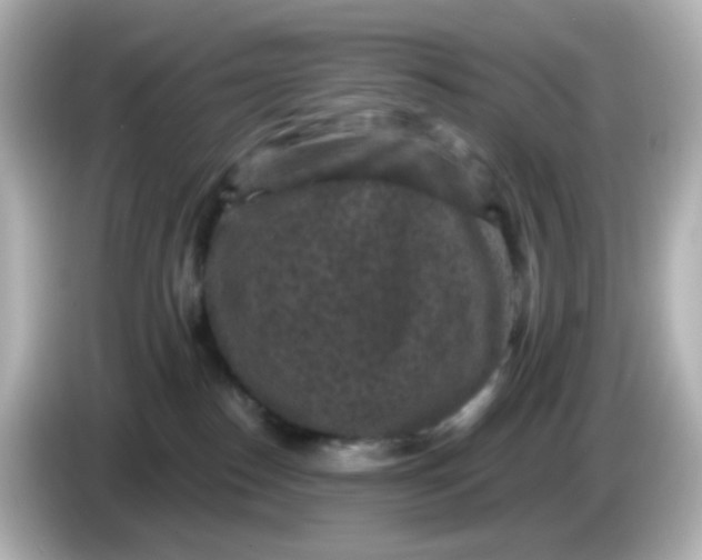 X0000086050186200704091216