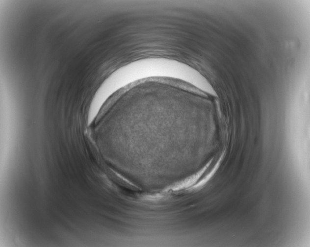 X0000086050190200704091216