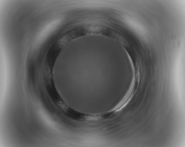 X0000086050191200704091216