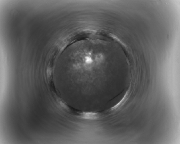 X0000086050192200704091216