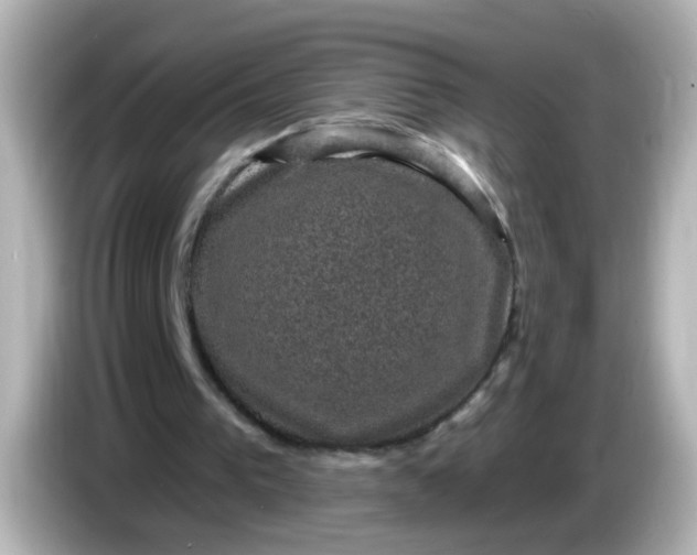 X0000086050193200704091216