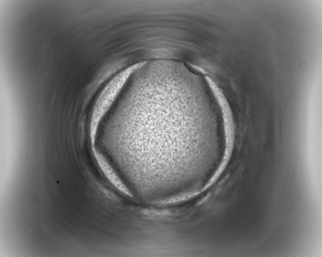 X0000086050194200704091216