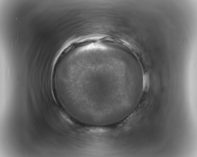 X0000086050195200704091216