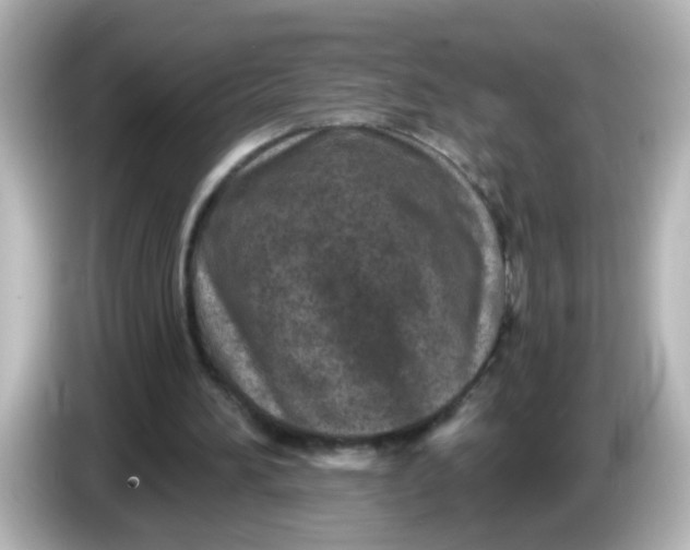 X0000086050196200704091216