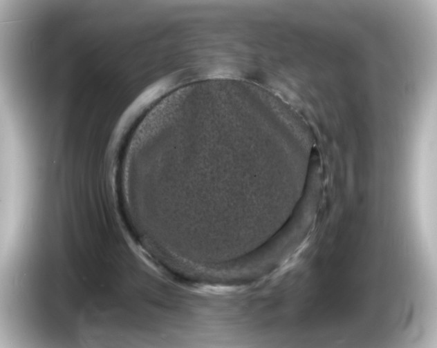 X0000086050197200704091216